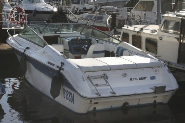 Sea Ray 220 Overnighter (verkocht) - Afbeelding 3