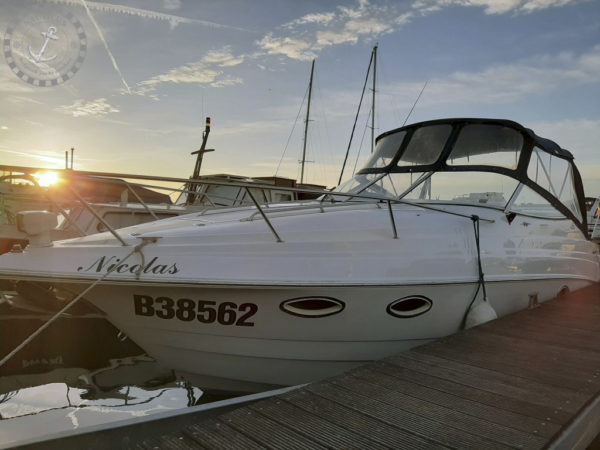 Chris Craft Crowne 25 (Verkocht) - Afbeelding 2