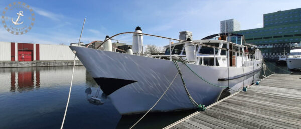 TSDY 18M (Verkocht) - Afbeelding 2