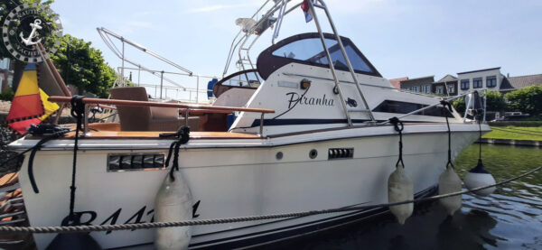 Trojan Yacht 25 Express - Afbeelding 5