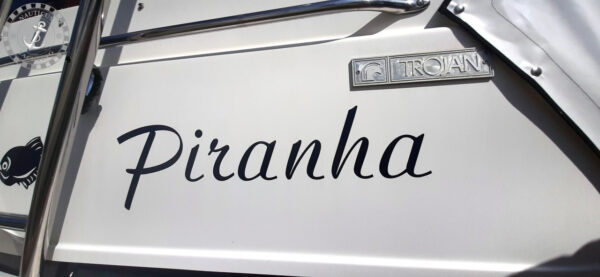 Trojan Yacht 25 Express - Afbeelding 54