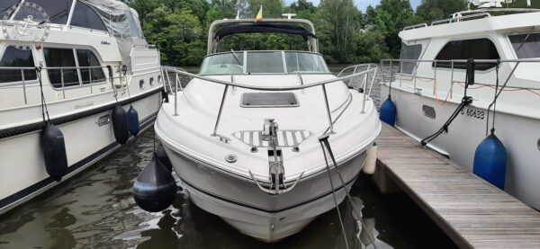 Chaparral Signature 290 - Afbeelding 3
