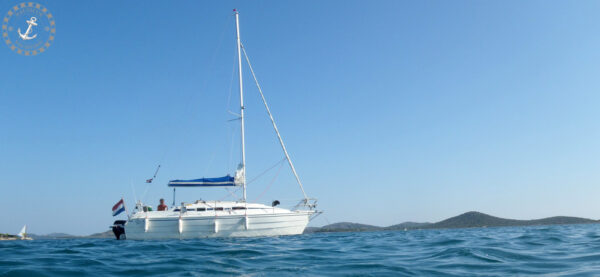 Odin 820 Classic (Verkocht) - Afbeelding 2