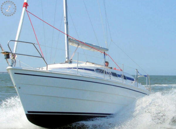 Odin 820 Classic (Verkocht) - Afbeelding 69