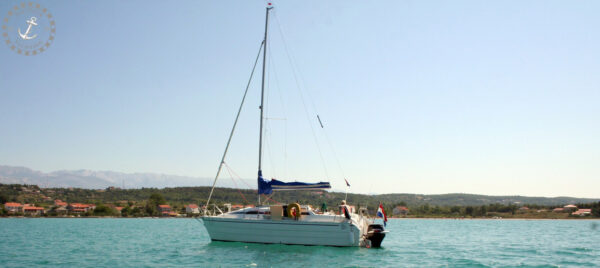 Odin 820 Classic (Verkocht) - Afbeelding 76