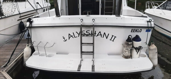 Fairline 40 Flybridge - Afbeelding 5