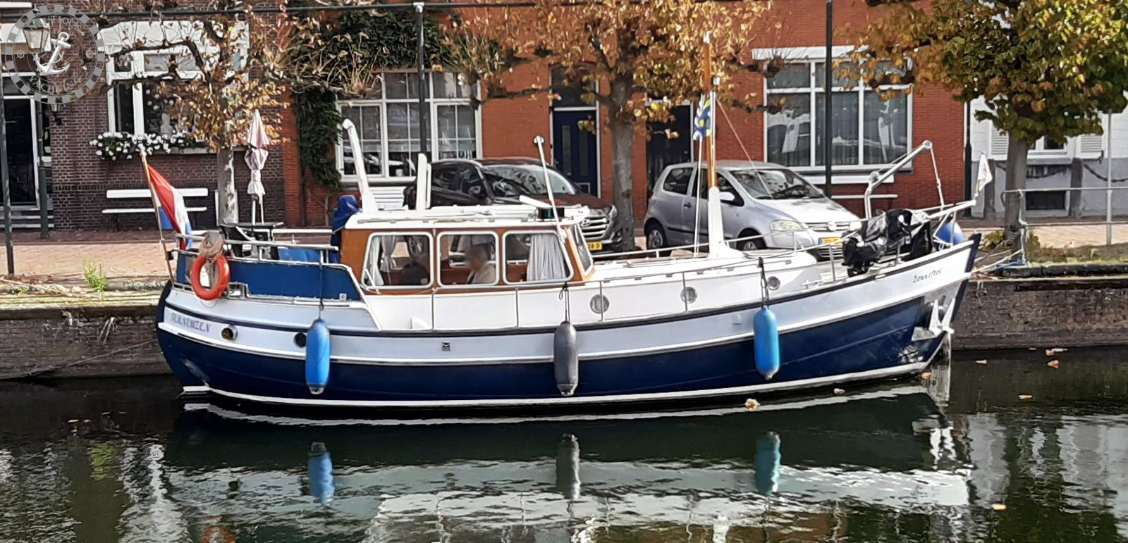 Danish Rose 32