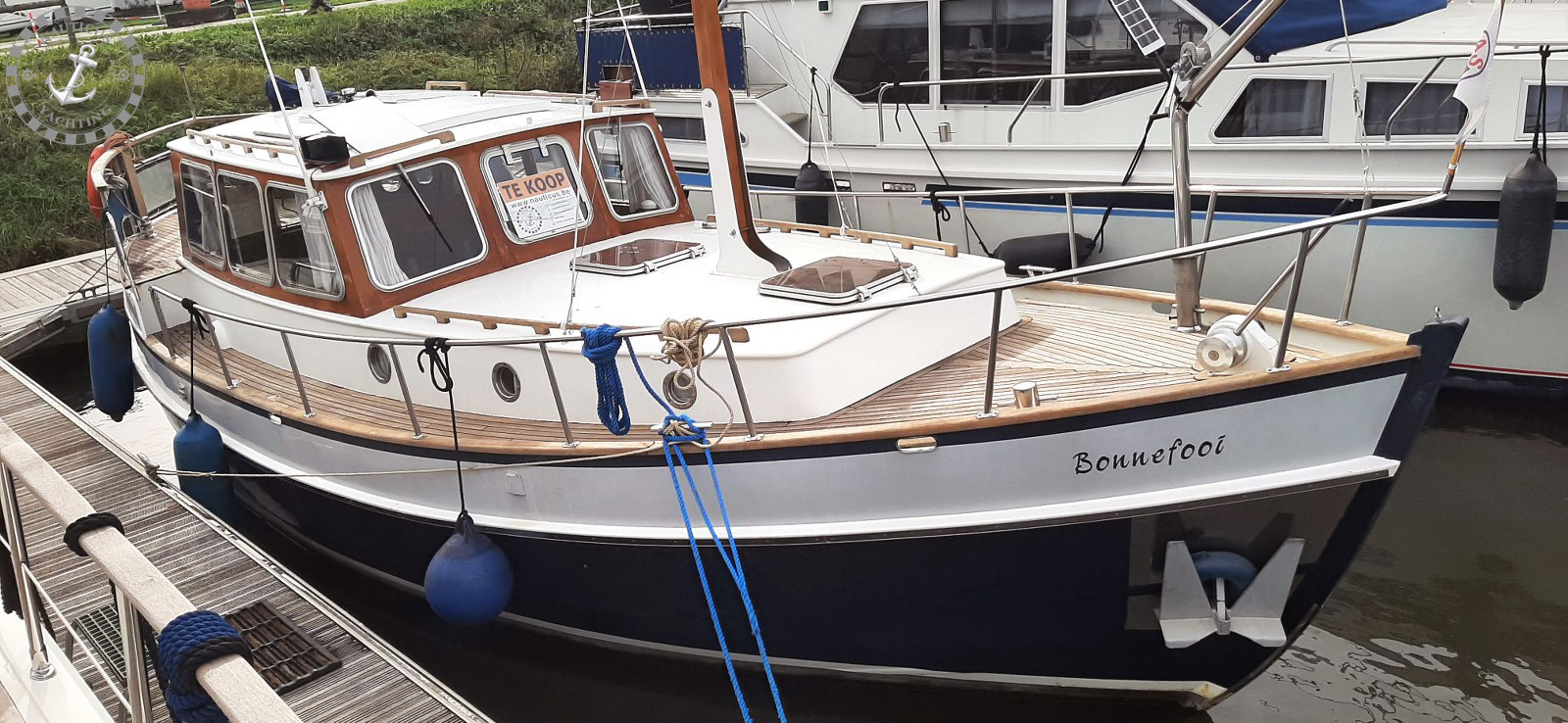 Danish Rose 32 - Afbeelding 3