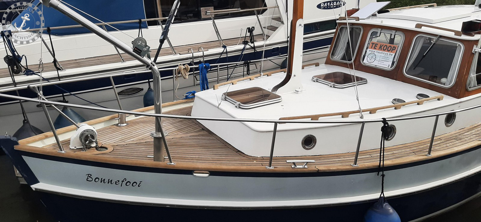 Danish Rose 32 - Afbeelding 6